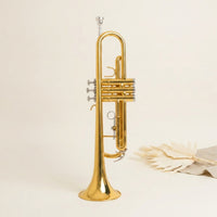 Standard B Flat Trumpet Golden B and B Trumpet Gold-Plated Brass Instrument Bright for Rehearsals