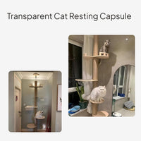 Floor-to-Ceiling Cat Tree with Space Capsule, Hardwood