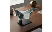 1/100 Twin-Tail Fighter Jet Model Printed Panel Markings Fifth-Generation Fighter Jet Model Giftairplane