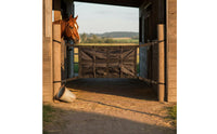 Horse Corridor Barrier Nylon Stablewith Straps Lightweight Stable Door Gate for Equestrians