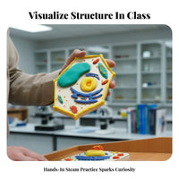 Hands-on Learning DIY Cell Model Kit STEM Toy Creature and Plant Cell Model Promotes Creativity for Students, Teens, Classroom