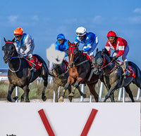专业速度赛马鞭骑马赛鞭骑马鞭皮鞭马鞭骑马鞭子骑马鞭马术用品