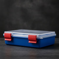 Portable Storage Box with Compartments Hinged Compartment Box with Handle Latched Plastic Organizer with Latches Clear for First Aid