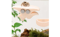 3 Pieces Strong Arachnid Bowl Decorative Arachnid Hide Cozy Toadstool Ledge with Adhesive Discs Discreet