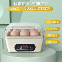 全自动孵化机6枚USB家用孵蛋器科教启蒙鸡鸭鸽子鹌鹑小型孵化器