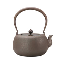 Tetsubin Uncoated Iron Kettle Stovetop Safe for Home Kitchen, Tea Lovers