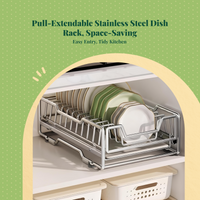 Stainless Steel Pull-Out Dish Rack