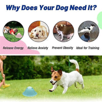 跨境新款Dog Chew Toys 狗狗互动玩具 咀嚼玩具隐藏食物 啃 咬玩