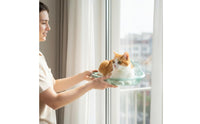 Cat Sunbathing Shelf Traceless Removal Window Mounted Cat Bed Soft Shape Pet Supplies for Balcony