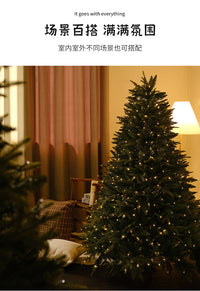 圣诞树家用儿童2025新款韩式高级感大型摆件裸树装饰品ins风网红 B ★☆【全PE】1.8米4500枝头【自带350灯】无需自己绕灯