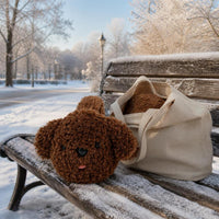 Foldable Winter Earmuffs for Men and Women, Plush Lined Ear Warmers for Outdoor Cold Protection