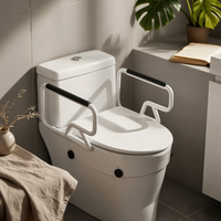 Toilet Seat Riser with Armrests Comfortable for Bathroom, Elderly