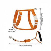 Adjustable Cat Harness and Kitten Walking Set, H-shaped Textile Strap Outdoor Cat Harness, Secure Non-Retractable Leash for Outdoor Walking