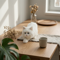 Bicolor Feline Figurine Collectible Home Decor Photo Props for Teaching Aid