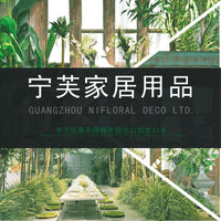 仿真绿植榕树海棠多肉仙人掌 小盆栽 圆叶植物网红办公桌面室内