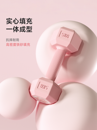 哑铃女士健身家用器材女生小哑铃2kg2.5公斤3KG一对男士杠铃壶铃