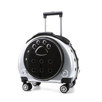 Caisse de Transport avec Roulettes Rigide Transporteur Transparent pour Voyage