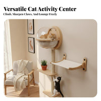 personalizedizable Cat Shelf System Drill Installation personalizedizable Cat Hexagon Space-Saving Pet Furniture for Apartment Dwellers, Indoors, Living Room, Playroom