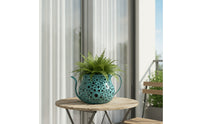 Watering Can Planter Rustic Planter with Handle Perforated Watering Can with Long Spout for Garden, Indoor