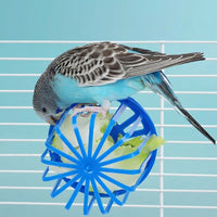 Hanging Bird Feeder Slotted Basket Fruit Holder for Birds, Foraging Toy and Cage Hanging Accessory for Cockatiel Parrot