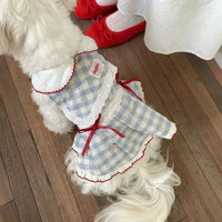 Cute Dog Dress and Cat Dress with Lace Skirt - White Plaid and Lace Skirt - Blue Plaid, Gingham Small Dog Clothes in Dopamine Style for Parties