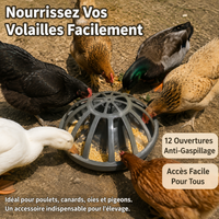 Automatic Chicken Feeder, 30 cm Diameter Plastic Chicken Seed Dispenser, 12 Ports for Poultry
