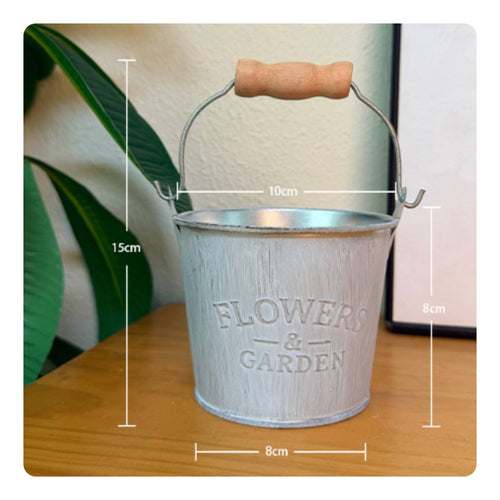 Galvanized Iron Decor Pot Handmade Mini Watering Can Planter for Desktop, Garden
