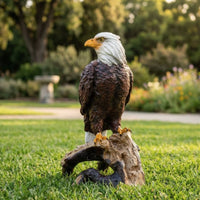 Eagle Sculpture Realistic Details Eagle Garden Ornament Weathered Look for Park