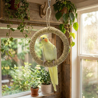 Cockatiel Toy and Budgie Toy Rope Swing Toy, Circular Climbing Toy for Small Parakeets Cockatiels, All Rope Hanging Perch without Noisy Bells