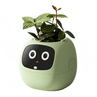 Face Planter One-Piece Desktop Planter Space-Saving