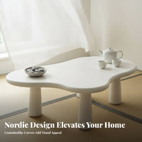 CumulusShaped Low Table Minimalist Aesthetic CumulusShaped Centerpiece Small Space Suitable Modern Aesthetic