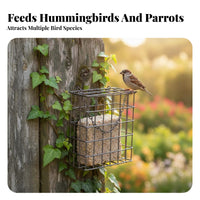 Metal Wire Bird Feeder Easy to Load and Maintain Nature Bird Food Holder Construction Suet Cake Feeder for Nature Lovers, Outdoor, Garden, Backyard