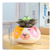 Mini Ceramic Cat Planter With Drainage Hole Cartoon Animal Plant Pot Handmade Small Animal Planter for Balcony