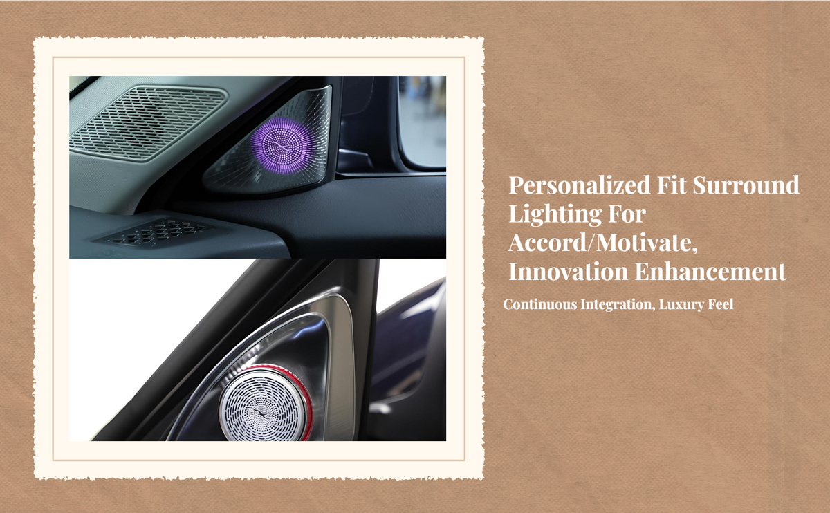 Accord 11th Gen dashboard light