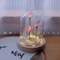 Dreamy Shell Sea Urchin Jellyfish Night Light Decoration DIY Kit, Birthday Gift, Team Building