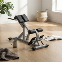 Back Extension Bench Slanted Support Adjustable Back Extension Bench Foam Pads Roman Chair for Floor Use