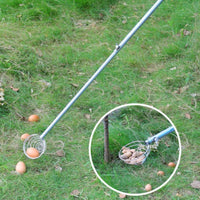 Long Handle Nut Gatherer Stainless Steel Spiral Basket Pickup Tool for Gardeners