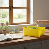 Bean Sprout Grower Box PP Material Soilless Sprout Grower Easy to Observe Feline Greens Planter for Indoor, Kitchen