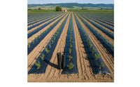 Unwanted Growth Barrier Cloth Permeable Unwanted Growth Planting Area Cover Thickened for Farmers, Gardeners, Greenhouse, Orchard, Agriculture