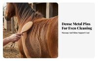 Horse Grooming Brush with Hanging Loop
