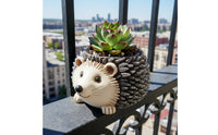 Hedgehog Planter Whimsical Plant Pot Creative for Tabletop, Windowsill