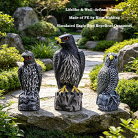 Eagle Bird Repellent Decoration for Garden and Park, PE Blow Molded, Factory Direct