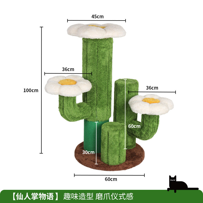 Cactus Story