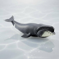 Realistic Bowhead Cetacean Model Educational Bowhead Cetacean Figurine