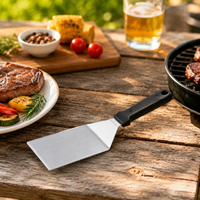 grill press