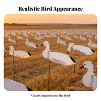 6 Pieces 2D Silhouette Goose Decoy Foldable Canadian Goose Decoy Lightweight