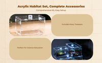 Ventilated acrylic terrarium for breeding