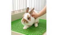 Manure-Draining Rabbit Cage Floor Board Easy to Clean Rabbit Cage Floor Mat Plastic Perforated for Breeding Setups