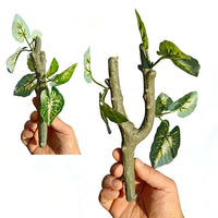 Lifelike Reptile Branch for Snake Accessories, Realistic Climbing Branch with Multi-Colored Leaves, 20cm X 7cm, 1 Piece