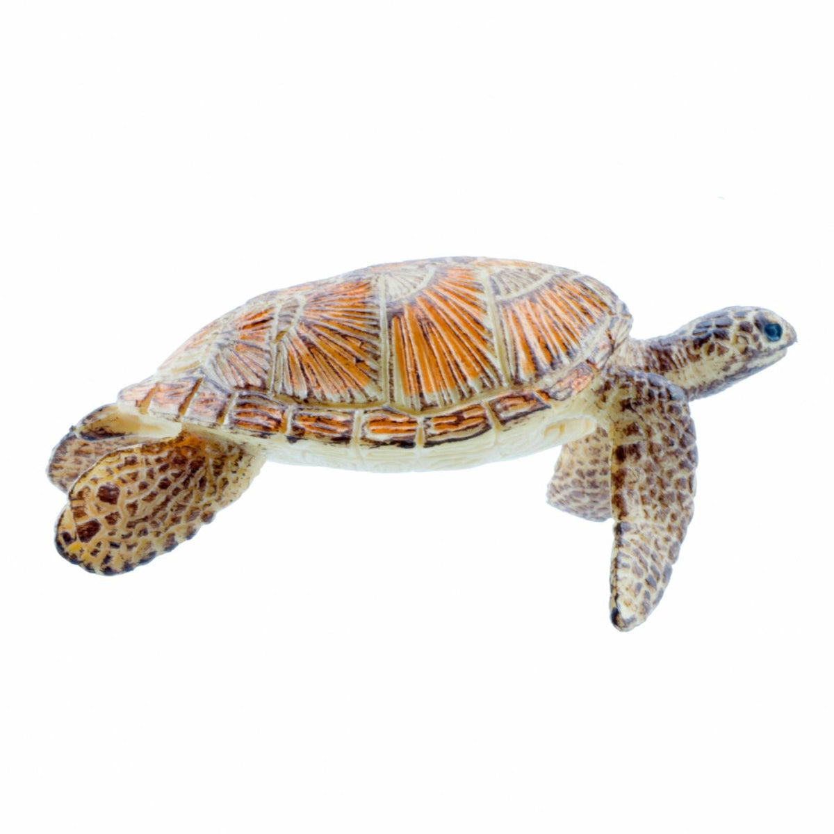 Sea Turtle Model Realistic Sea Turtle Figure Miniature Toy for Desk Decor